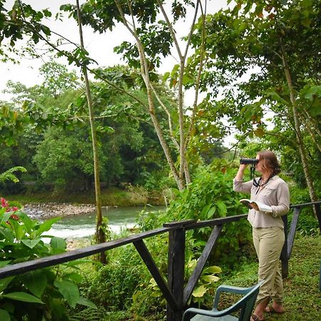 Villa Chilamate Rainforest Eco Retreat Puerto Viejo de Sarapiqui Exterior foto