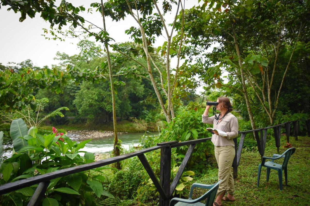 Villa Chilamate Rainforest Eco Retreat Puerto Viejo de Sarapiqui Exterior foto